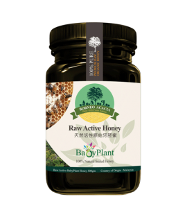 Babyplant Raw Active Honey